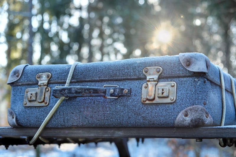Travel Luggage Bag